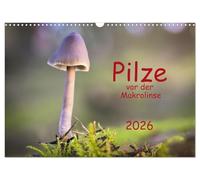 Mushrooms in front of the macro lens 2026 UK-Version (Wall Calendar 2026 DIN A3 Landscape), CALVENDO 12 Month Wall Calendar