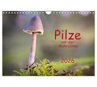 Mushrooms in front of the macro lens 2026 UK-Version (Wall Calendar 2026 DIN A4 Landscape), CALVENDO 12 Month Wall Calendar