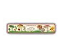 Mushrooms Pencils Set In Tin