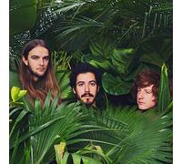 MUSIC BAND - Wake Up Laughing [VINYL]