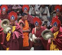 Music: Culture, Biology, or Both?