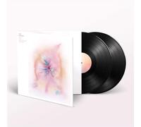 Music For Psychedelic Therapy - Jon Hopkins Vinyl