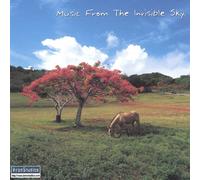 Music from the Invisible Sky