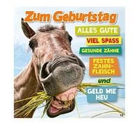 Music Greeting Card - Funny Birthday Card with Colourful Motif - Matching Saying & Inside - Includes Envelope - 17cm x 16.5cm