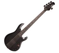 Music Man DarkRay 5 String Stealth Black