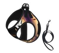 Music Note Piano Print Soft Mesh Dog Harness and Leash Set Pet Puppy Cat Comfort Padded Vest No Pull Harnesses