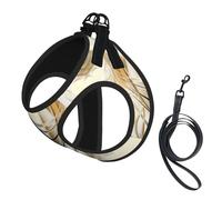 Music Note print Dog Harness, 2X Buckle,Dog Vest,No Pulling Front Leash Clip,for Small Medium Dogs