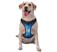 Music Notes With Clef,Pet Harness,Adjustable Reflective Dog Harness,Pet Leash Vest,S