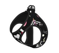 Music Symbols Lovely Printing Dog Summer Harness With Leash Set,Adjustable And Reflective Step-In Puppy Pet Vest Harnesses