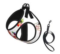Musica Butterfly Print Dog Harness Small Sized And Leash Set, Step In Soft Light Puppy Vest Breathable Mesh Pet Harness