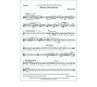 [(Musica Dei Donum: Flute Part)] [Author: John Rutter] published on (July, 1999)