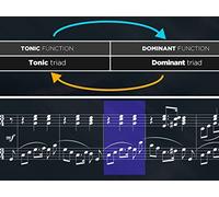 Musical Harmony in Context: Progressions
