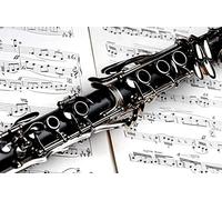 Musical Instrument Clarinet Pattern Puzzle,Adult Puzzle,Paper Puzzle,1000 Piece Puzzle for Adults26x38cm