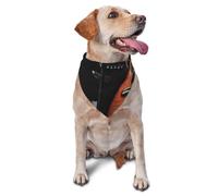 Musical Instrument Guitar Dog Bandana Pet Scarf Accessories for Small Medium Dogs Cats Photo Prop, Triangle Pet Bandanas Adjustable Puppy Bib Washable Dog Kerchief Puppy Neckerchief
