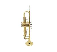 musical instruments trumpet Nickel-plated Trumpet B-flat Trumpet Instrument For Beginners To Play Trumpet Nickel-plated Lacquer Gold(Color:Lacquered gold)