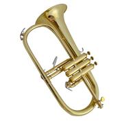 musical instruments trumpet Silver-plated Gold Beginner's Performance In B Flat(Color:Gold)