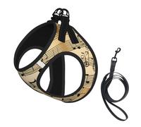 Musical Notes Print Step in Dog Harness and Leash Set,Adjustable Reflective Harness for Small Dogs Cats