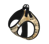 Musical Notes Print Step in Dog Harness and Leash Set,Adjustable Reflective Harness for Small Dogs Cats