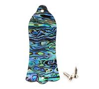 Musiclily Pro Natural Paua Abalone Shell 2-Hole Guitar Truss Rod Cover for USA Made Les Paul