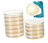MUSISALY 10pcs Nutrient Agar Plate Laboratory Agar Plate Yeast Culture Dish Agar Plates for Experiment Themed Agar Petri Dish Powdered Egg Petri Dish Agar Plates Mushroom Agar Plates Grade