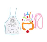 MUSISALY 3D Human Organs Apron Educational for Early Learning Cognitive Tool Detachable Internal Organs, Preschool Science Teaching Aid for Boys and