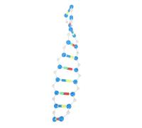 MUSISALY Double Helix Dna Model Kit Educational Science Molecular Model for Classroom Biology Teaching Human Dna Learning Aid Practical Genetics Assembly Tool