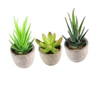 MUSISALY Imitated Plants Bonsai Fake Succulents 7X6.5X6.5Cm Plastic Not Easily Fade Home Office Decoration for Senior Citizens 3Pcs