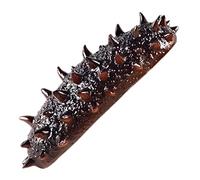 MUSISALY Realistic Artificial Sea Cucumber Model Lifelike Simulation Food Prop for Restaurants Photography and Home Decoration for Pretend Play and present Ideas