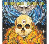 Musket Hawk/Sunburster - Musket Hawk/Sunburster [7" VINYL]