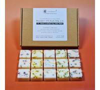 Musky Fragrance - Highly Scented Botanical Wax Melts Collections (15 x 13.5g Hand Crafted) - Vegan Friendly & Cruelty Free - Plastic Free - Provide 8 to 10hrs scents/cube - Made in the UK (Musky)