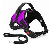 Musonic No Pull Dog Harness Breathable Adjustable Comfort Free Lead Included for Small Medium Large Dog Best for Training Walking XL Purple
