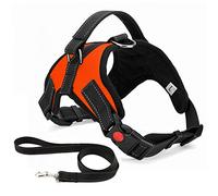 Musonic No Pull Dog Harness Breathable Adjustable Comfort Free Leash Included for Small Medium Large Dog Best for Training Walking M OrangeNew