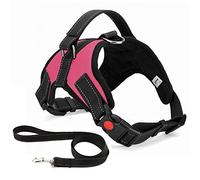 Musonic No Pull Dog Harness Breathable Adjustable Comfort Free Leash Included for Small Medium Large Dog Best for Training Walking XS Pink