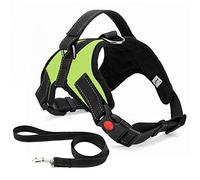 Musonic No Pull Dog Harness, Breathable Adjustable Comfort, Free Leash Included, for Small Medium Large Dog, Best for Training Walking (XL, Green)