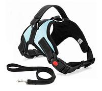 Musonic No Pull Dog Harness Breathable Adjustable Comfort Free Leash Included for Small Medium Large Dog Best for Training Walking S LightBlue