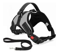 Musonic No Pull Dog Harness, Breathable Adjustable Comfort, Free Leash Included, for Small Medium Large Dog, Best for Training Walking (Gray, XS)