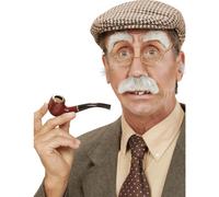 Mustache and eyebrows of an old adult man