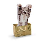 Mustard "Cat In A Box" Sticky Notes Pad