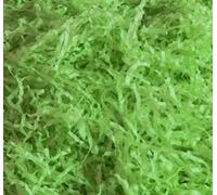 MustBeBonkers Packs of Acid Free Shredded Tissue Paper Shred! Gift Hamper Stuffing Filler (Light Green, 50g)