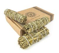 MUT22 3 Rue Sage for Burning, Purifying Herb and Harmony, 100% Natural Appian Sage, Ideal for Spiritual Cleansing and Energy Rituals