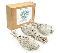 MUT22 3 XL Torches Sacred White Sage for Burning, Purification Herb and Harmony: 100% Natural Appian Sage, Ideal for Spiritual Cleansing and Energy Rituals