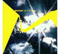Mutiny - In the Now