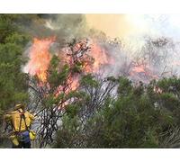 Mutual Aid
