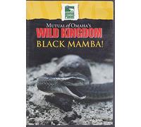 Mutual of Omaha's Wild Kingdom Black Mamba!