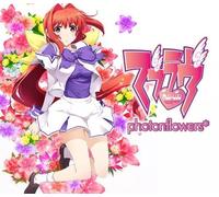 Muv-Luv photonflowers* Steam CD Key