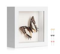 MUXIUNT 4x4 Inch Mini Shadow Box Frame with Real Glass & Soft Linen Back | With Push Pins,1.2-inch Deep White Shadow Box Display - Tabletop or Wall Mount for Crafts, Photos, Flowers, and Keepsakes