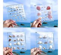 MUXIUNT Multi-Style Clear Acrylic Magnetic Seashell Display Collecting Box, Acrylic Shadow Box for Tiny Treasure Hunting Seashell Holder Display Grid Cabinet Case Box,Display Seashell Jewelry Crystal