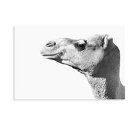 MUYGGAFF Bohemian Desert Camel Animal Print Canvas Poster Wall Art Decor Print Picture Paintings for Living Room Bedroom Decoration 12x18inch(30x45cm)