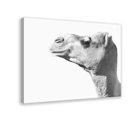 MUYGGAFF Bohemian Desert Camel Animal Print Canvas Poster Wall Art Decor Print Picture Paintings for Living Room Bedroom Decoration 08x12inch(20x30cm)