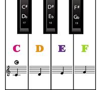 MUYOS Piano Keyboard Stickers for 54/61/88 Keys - Transparent & Removable Piano Keyboard Note Stickers and Piano Key Labels for Kids and Beginners (Sticker Color)